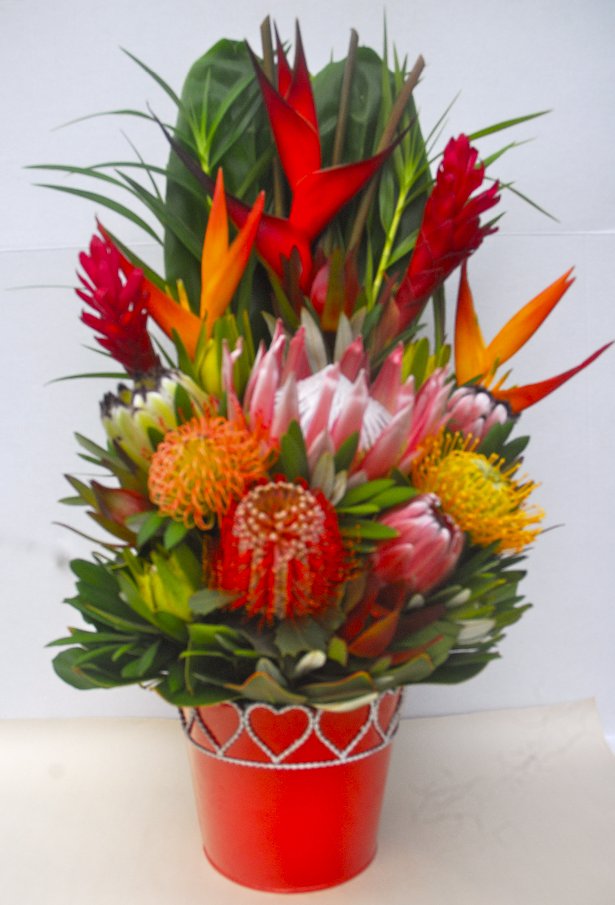 Hawaiian Maui protea flowers and tropical flower arrangements delivered