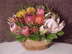 Medium Protea Basket
