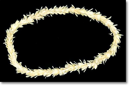 dendrobium orchid lei