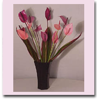Lady Jane Tulip Anthuriums