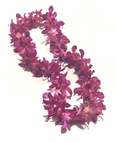 dendrobium orchid lei
